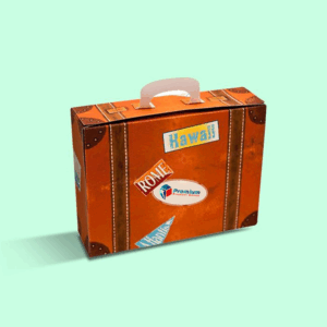 Custom Carton Briefcase Gift Boxes