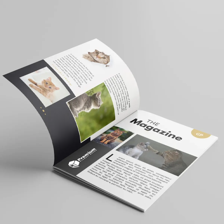 Custom Magazine Printing